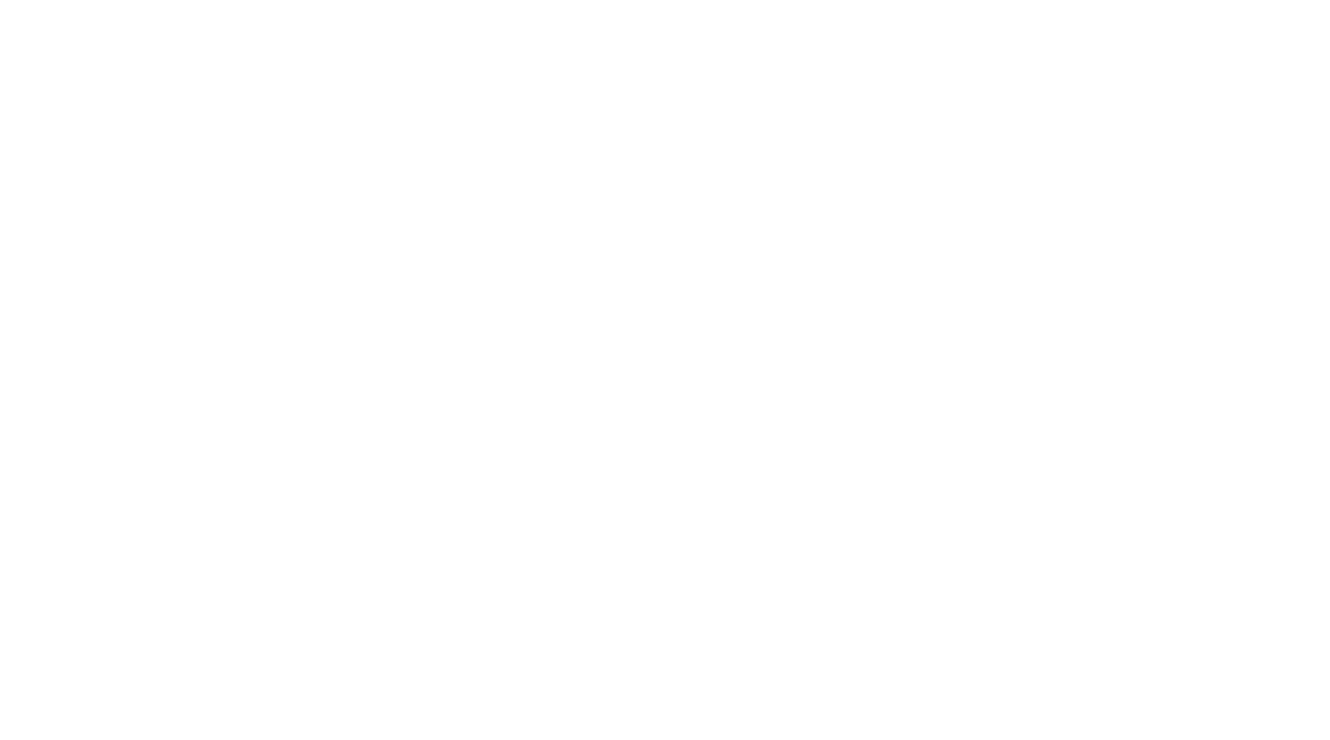 Schlosserei Schneider GmbH & Co. KG Logo